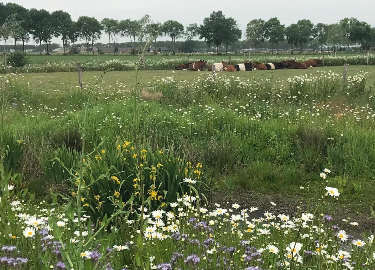 B&B In Ons Straatje Rosmalen Exteriör bild