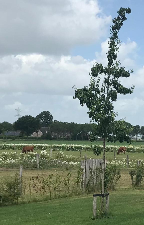 B&B In Ons Straatje Rosmalen Exteriör bild